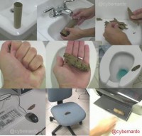 /album/picks/ajjqja-jpg/